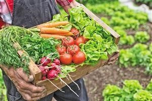 Keto Meal Plan for Breakfast